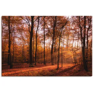 Artland Wandbild »Sonnenaufgang im Herbst II«, Wald, (1 St.), als Alubild, Outdoorbild, Leinwandbild, Poster, Wandaufkleber, braun