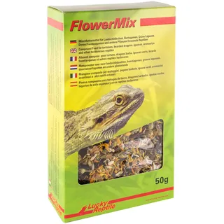 Lucky Reptile Flower Mix