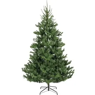 künstlicher Weihnachtsbaum Tannenbaum Everlands Alba Fir Ø 116 cm H 180 cm