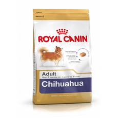 Bild Chihuahua Adult 500 g