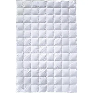 billerbeck Bettdecke Bali Superlight - Daunendecke – 135 x 200 cm – Sommerdecke, leichte Sommerdecke – 90 % Daune, 10 % Federn