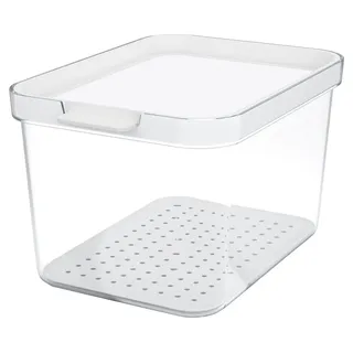 Rotho Frischhaltedose Cauma transparent weiß 19,6 cm 2,15 l