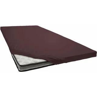 Primera Spannbettlaken Jersey-Elasthan 90 x 200 - 120 x 210 cm braun