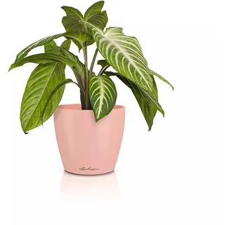 LECHUZA Classico Color Ø 15 x 13,5 cm Rosa