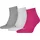 Quarter Plain 3 Paar Pink 39-42