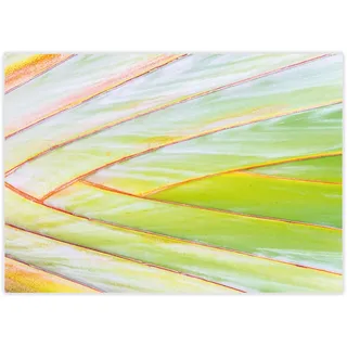 100 Tischunterlage Palmenblatt Tropic Asia I DIN A3 eckig I Platz-Set aus Papier I modernes Design I Einweg Tischset I grün Natur I Gastronomie und Haushalt I dv1066