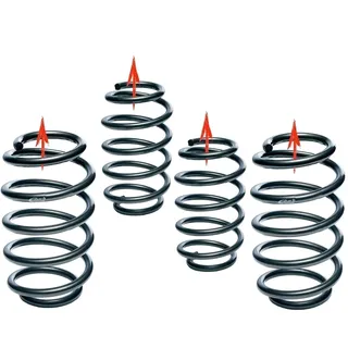 Eibach Fahrwerksatz, Federn