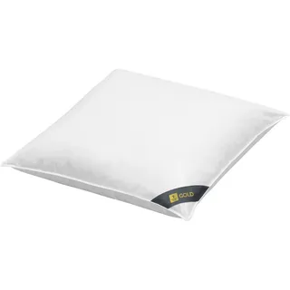 SPESSARTTRAUM Kissen 80 x 80 cm Gold