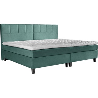 Esposa BOXSPRINGBETT Blau, Grün - 240x200 cm