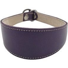 BBD Pet Products Schlupfhalsband für Windhunde, Einheitsgröße, 1,9 x 35,6 cm bis 40,6 cm, Violett