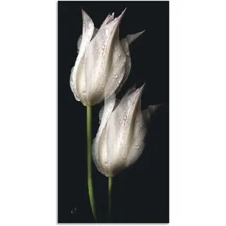 Artland Wandbild »Weiße Tulpen in der Nacht«, Blumenbilder, (1 St.), als Alubild, Outdoorbild, Leinwandbild, Poster, Wandaufkleber Artland schwarz