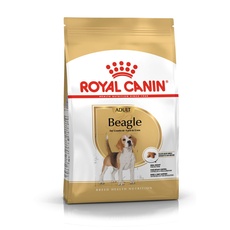 Bild Beagle Adult 3 kg