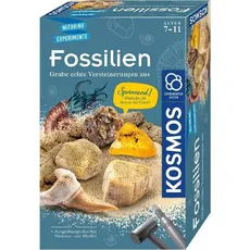 Bild von Fossilien