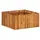 Garten-Hochbeet 50 x 50 x 25 cm Braun