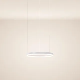 s.luce Led-Hängeleuchte Ring Direkt/Indirekt 5m Gold Ø 40cm , Goldfarben , Metall , Rund,Rund , LED integrated , 40x3.3x40 cm , Lampen & Leuchten, LED Beleuchtung, LED-Hängeleuchten
