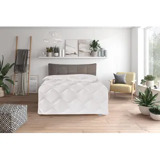 Traumnacht Comfy Cotton 4-Jahreszeiten teilbare Bettdecke, aus Baumwolle, Weiß, 135 x 200 cm, waschbar, Öko-Tex zertifiziert, produziert nach deutschem Qualitätsstandard