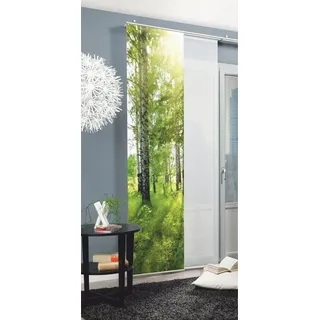 HOME WOHNIDEEN Schiebegardine »NEWCASTLE« Klettband 1 Stk. tlg. HxB: 245x60, inkl. Befestigungszubehör, grün