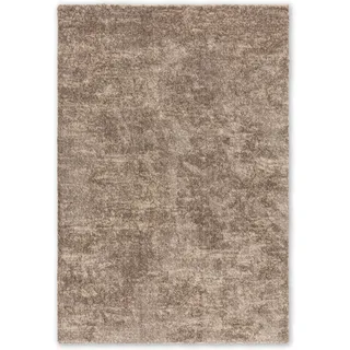 Astra Salerno 250 Teppich 200 x 290 cm Taupe meliert