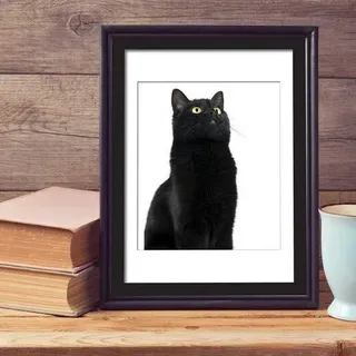 Walplus Wand Sticker Süß Schwarze Katze Plakat Wandmalerei Aufkleber Kunst Wohnzimmer Kindergarten Schule Restaurant Hotel Café Büro Dekor Heim Dekoration, Vinyl Bunt, 40 x 30 X 0.03 CM