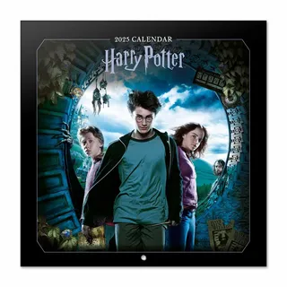 Grupo Erik Kalender 2025 Wandkalender 2025 Grupo Erik Filme Harry Potter Kalender 2025 Familienplaner 30 x 30 cm Jahreskalender 12 Monate - Offizieller Harry Potter Fanartikel