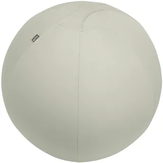 Leitz Sitzball Grau 75 cm