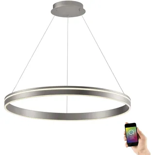 Paul Neuhaus LED Pendellampe CCT Q-Vito Pendelleuchte Ring, dimmbar, Fernbedienung, Alexa silber Wohnzimmer, Esszimmer, Küche 8412-55, 8412-13 - Silber