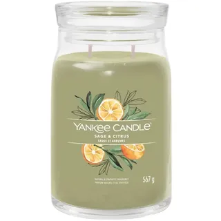 Yankee Candle SAGE & CITRUS Kerzen 567 g