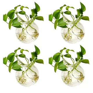 NUPTIO Wandvase für Pflanzen Innen Glas: Blumen Wandbehang Glasvase für Wohnzimmer Wand Deko - Wasser Hängetöpfe Vasen Luft Blumenvase Terrarien für Raum Dekoration 4er-Set