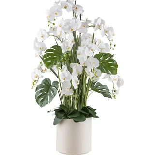Creativ green »Orchidee Phalaenopsis« mit Gräsern und Splitphilo-Blättern,