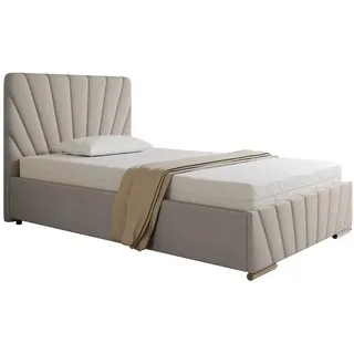 Homesy Ray 120 x 200 cm H3 Beige