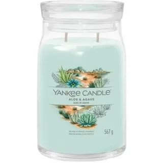 Yankee Candle Aloe & Agave Duftkerze 567 g grün