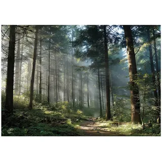 WallArena Vliestapete Wald, 3D Effekt- Natur Schlafzimmer 400x280