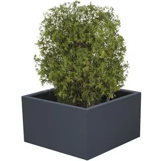 Pflanzkübel Palatino Clara Metall beschichtet 100 x 100 x 50 cm anthrazit