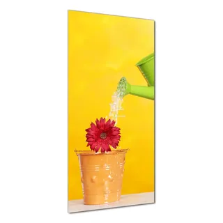 Wallario selbstklebende Duschrückwand 90 x 190 cm mit Motiv Rote Blüte im Blumentopf - frisch begossen - Wandverkleidung mit Hochglanzlaminat in Glasoptik