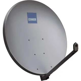 Schwaiger SPI1000.1 100cm Anthrazit LNB-Tragarm + Masthalterung
