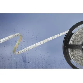 Barthelme Basic LED-Streifen 51540831 24 V RGB 500 cm 1 St.