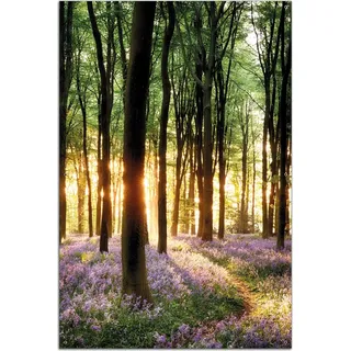 Wallario Outdoor-Poster für Garten oder Balkon, Motiv Blaue Hasenglöckchen im Wald mit Sonnenstrahlen, in ca. 61 x 91,50 cm - Schwarz