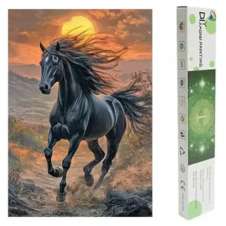 DCIDBEI Diamant Painting Bilder Pferd Springen 40x50cm Diamant Malerei Box | Malen nach Zahlen Friese Pferd Diamond Painting Pferde Schwarz Sonnenuntergang Strass Stickerei Leidenschaft Mut Loyalität