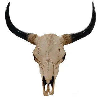 MCW Deko Schädel Longhorn 64 cm Natur