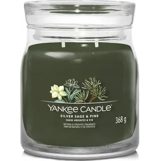 Yankee Candle Silver Sage & Pine Duftkerze 368 g grün