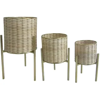 DRW Set mit 3 Pflanzgefäßen mit Korbgeflecht und Metall in Natur und Gold, 24 x 24 x 46, 19 x 19 x 36 und 15 x 15 x 31 cm