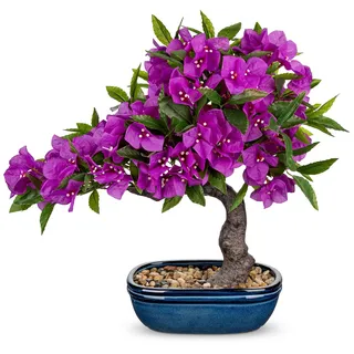 Arborus Künstliche Bougainvillea Frühling Kunstblumen Künstliche Bonsai im Keramik Topf Dekoblumen Künstliche Blumen Tisch Regal Balkon Fensterbank Deko im Wohnzimmer Schlafzimmer Badezimmer Deko