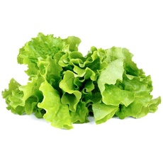 Click and Grow, Samen, Grüner Salat (Gemüsesamen)