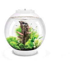 biOrb 72007 CLASSIC 30 LED weiß - dekoratives Aquarium Komplett-Set mit Filter-System, LED-Beleuchtung und Keramik-Kies aus widerstandsfähigem Acryl-Glas