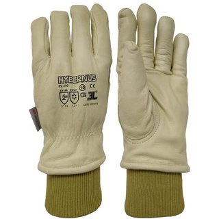 Thermohandschuh Hybernus PL-100 T-11