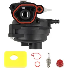 DOCAS Vergaser Rasenmäher Motor Ersatz Kit mit O-Ring Unterlegscheibe für 799583 593261 595656 591979 591160 300E 450E 500E 550EX 500 125cc 140cc 08P502 8P502 09P602 9P602 Rasenmäher