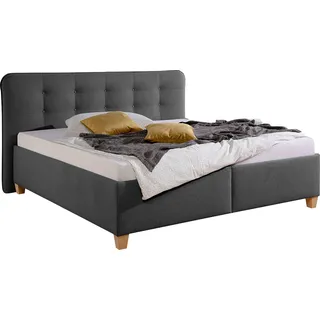 MAINTAL Polsterbett inklusive Bettkasten grau