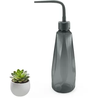 Kleine Gießkanne für Zimmerpflanzen, 450 ml Mini Giesskanne, Bewässerung Flasche für Sukkulente Kaktus Sämlinge Bonsai (Dunkelgrau)