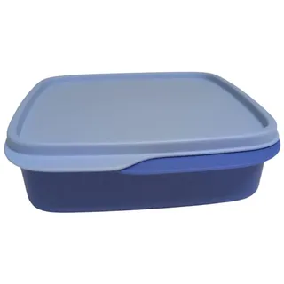 Tupperware to Go Lunchbox clevere Pause 550 ml Brotdose mit Trennwand auslaufsicher Eco+ Schule Kindergarten Dose mit Abteilung 3- fach Abtrennung pastell blau hellblau 550ml