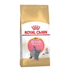 2kg British Shorthair Kitten Royal Canin hrană uscată pentru pisici